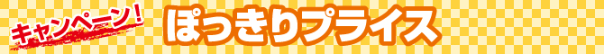 キャンペーン ぽっきりプライス キャンペーン ぽっきりプライス